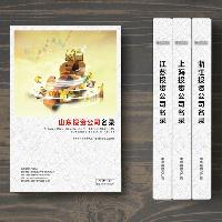 山東投資企業(yè)精準(zhǔn)名錄